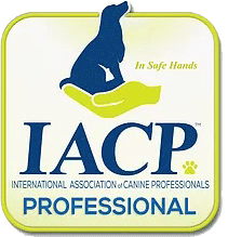 IACP logo