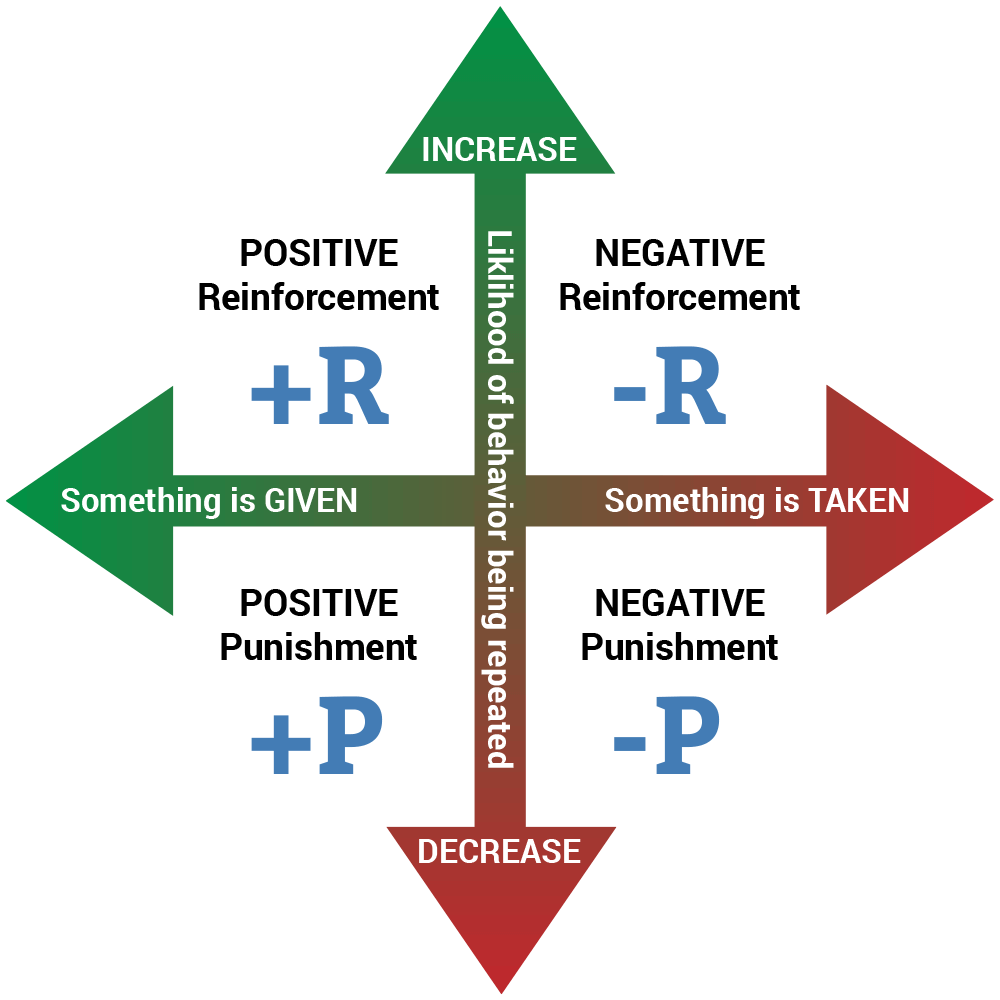 The four quadrants of learning theory: positive reinforcement, negative reinforcement, positive punishment, and negative punishment