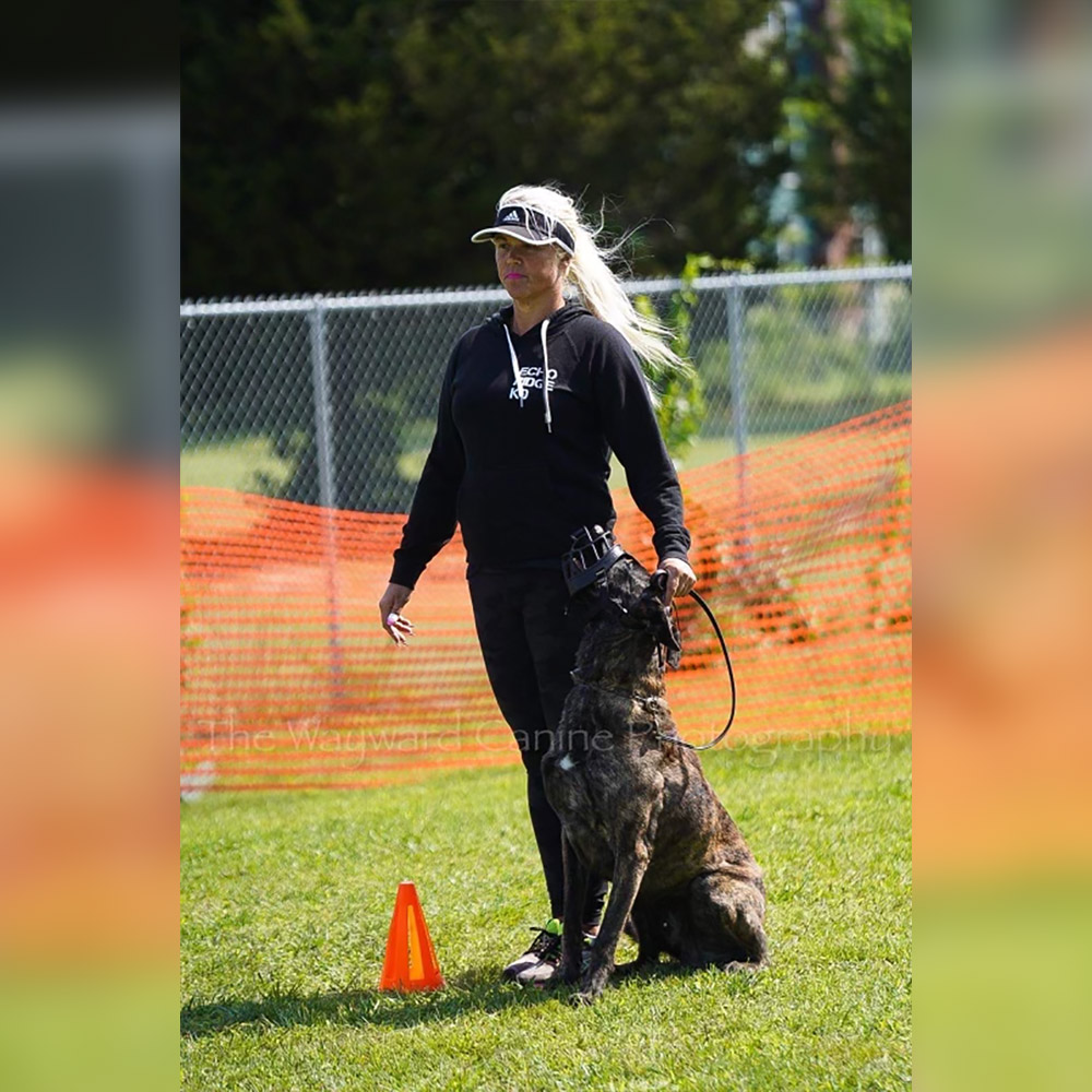 Rozalynn Parkhurst, Board & Train Programs Trainer at MDTC, participating in IGP competition with her dog